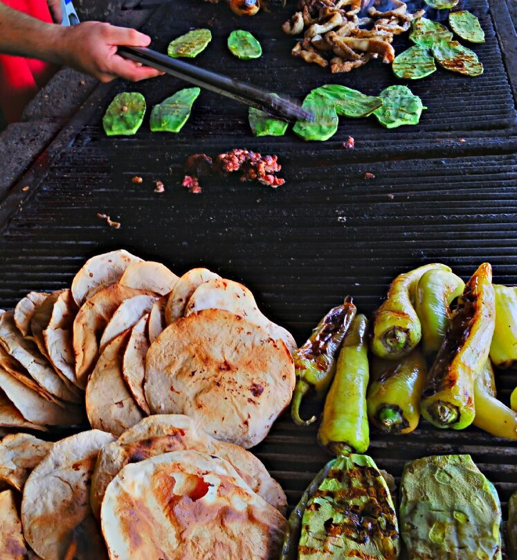 Costalegre餐馆和美食-tacos Johny