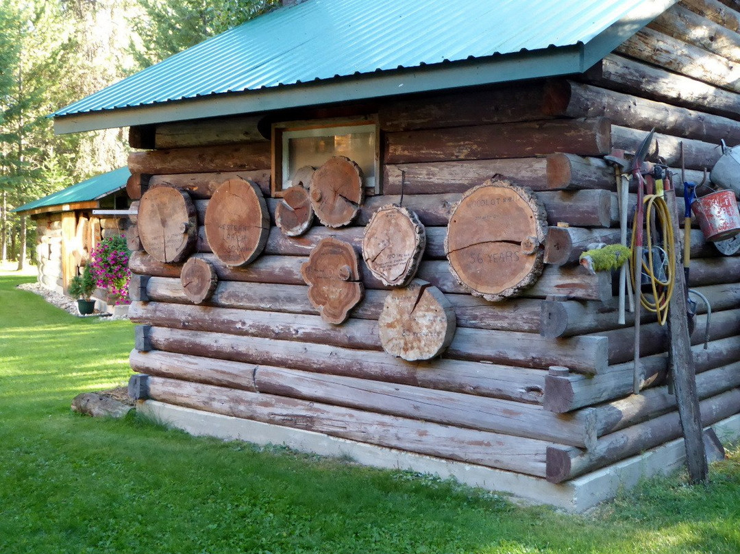 Little Dipper Hideaway Campground主图