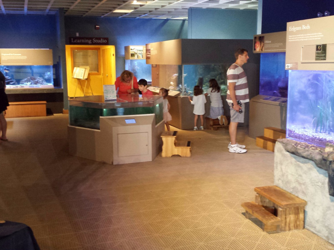 Seacoast Science Center景点图片
