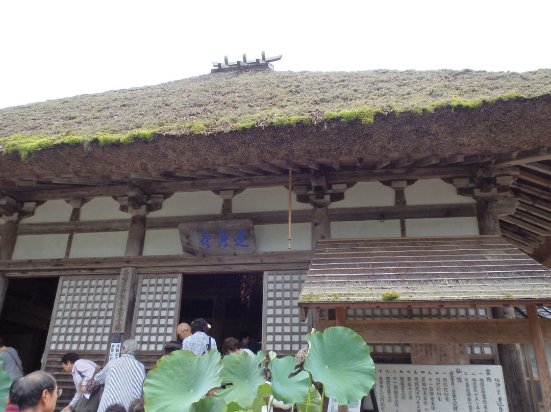 Tashinji Temple-丹波市必去景点