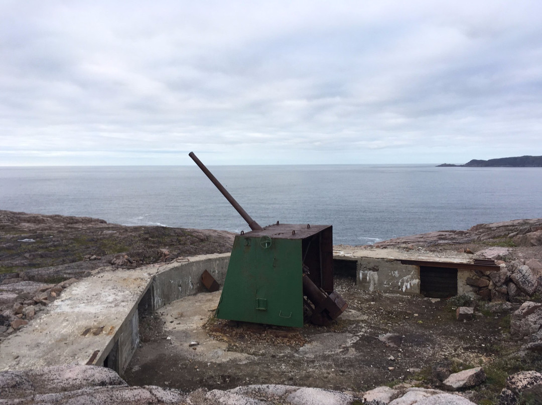 Artillery Battery of Coastal Command № 199景点图片