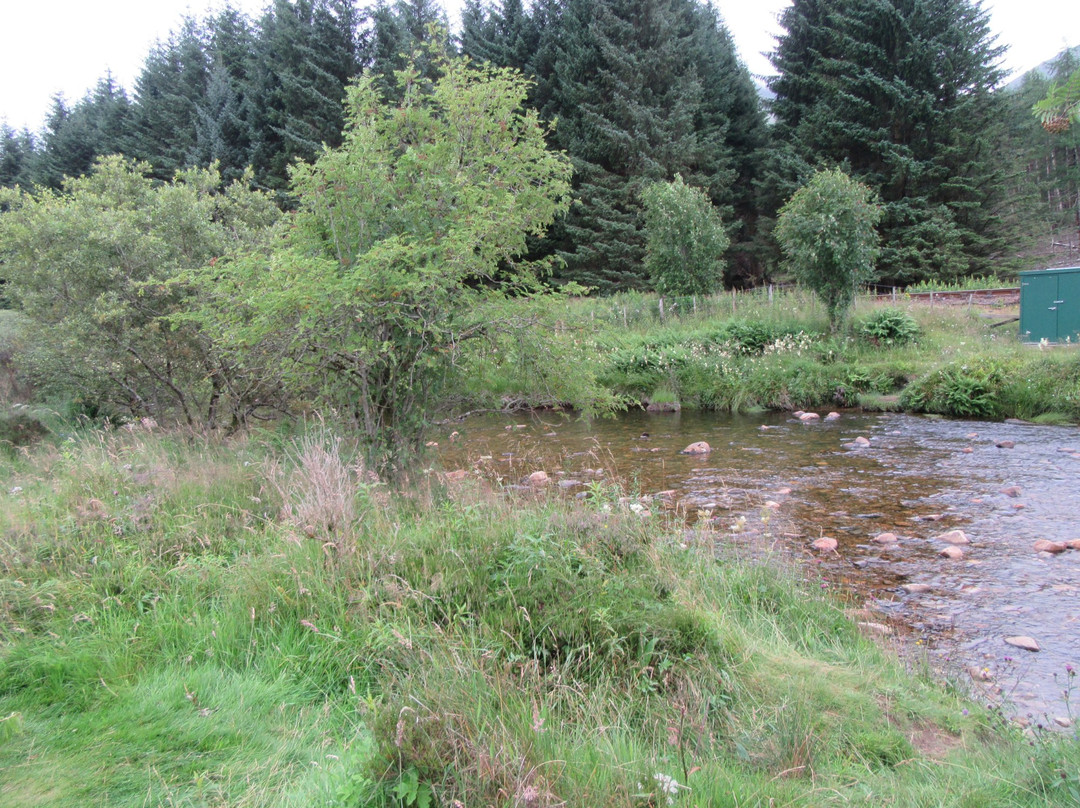 Trossachs Trail Loop-Trossachs必去景点