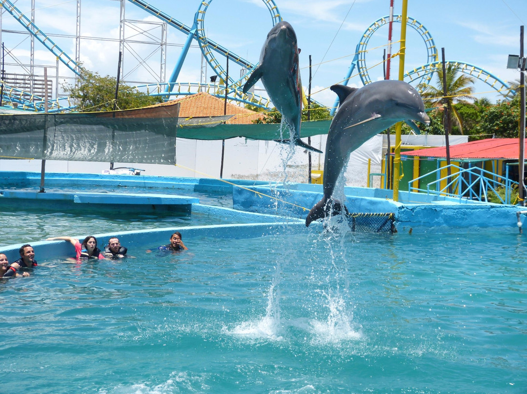 Waterland Mundo Marino-潘帕塔尔必去景点