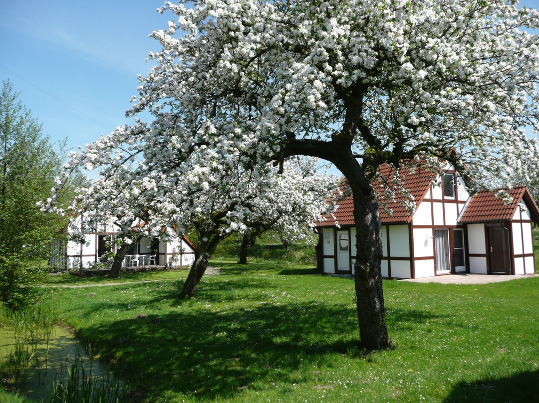 Gruenendeich酒店住宿-Ferienhaus Nordland