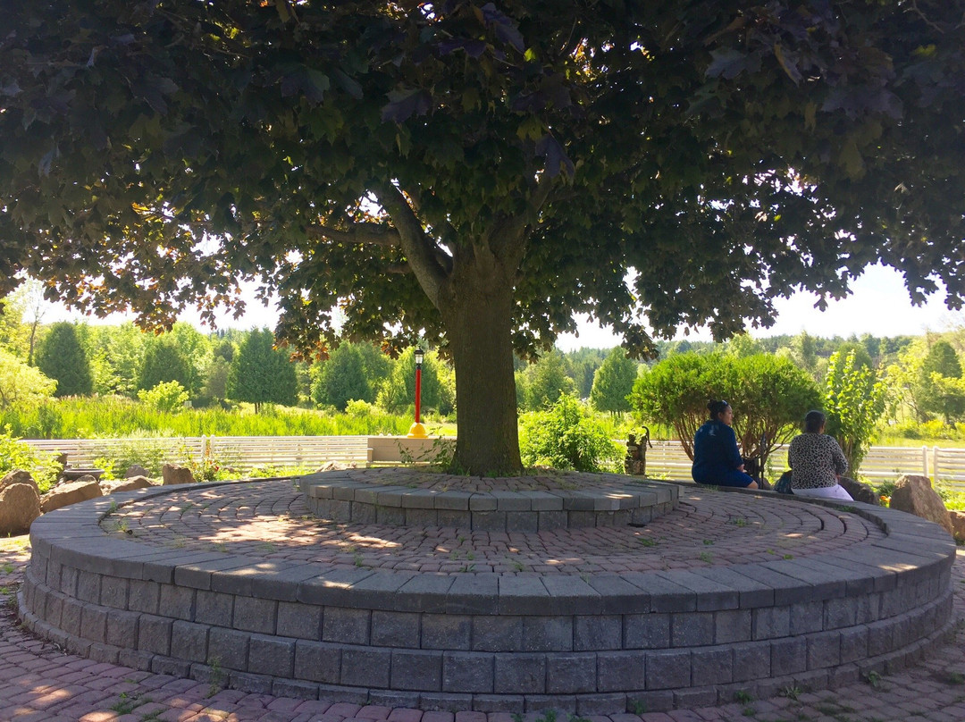 Wat Lao Veluwanaram Temple-卡利登必去景点