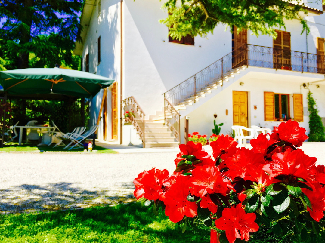 B&B Al Vecchio Cipresso