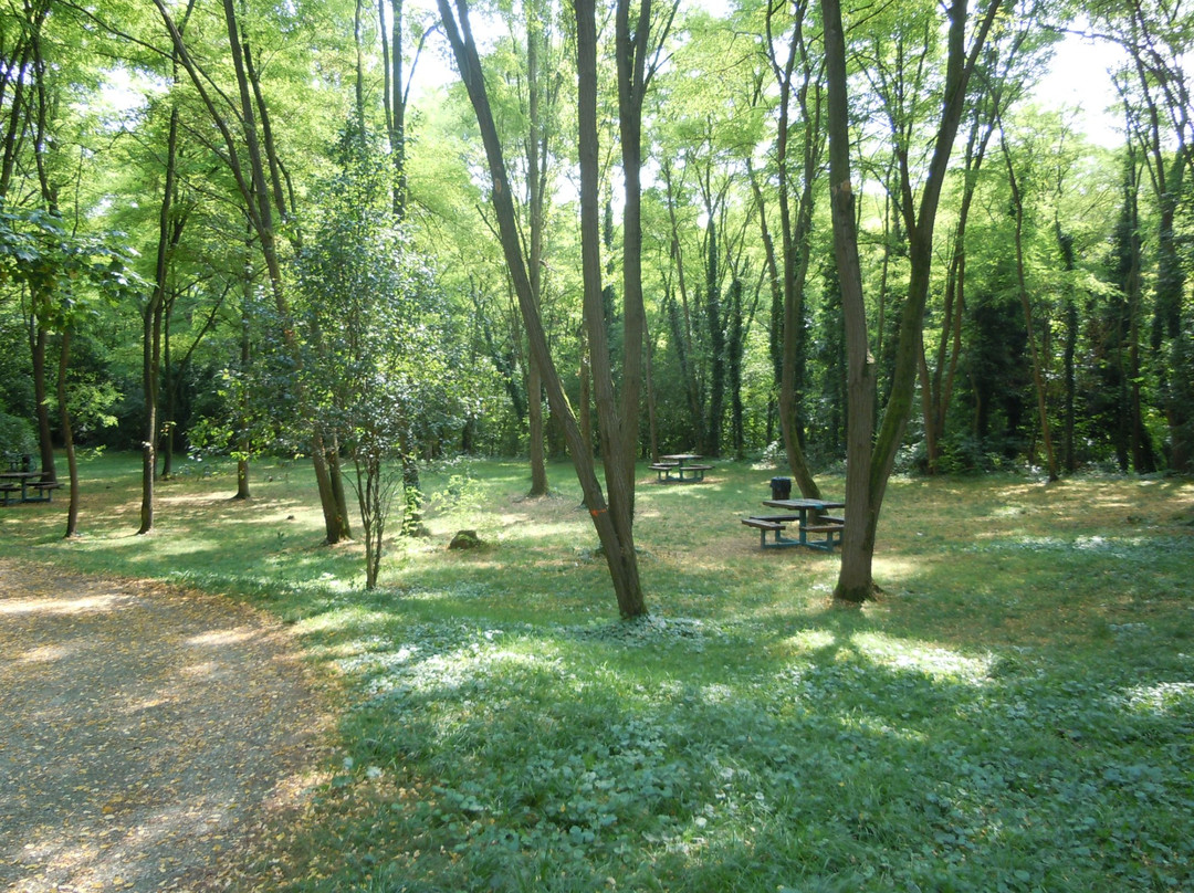 Parc des Coteaux d'Avron景点图片