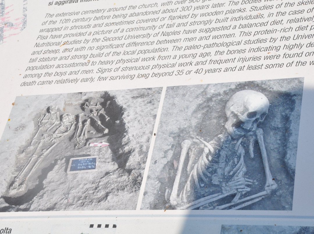 Parco Archeologico Pava景点图片