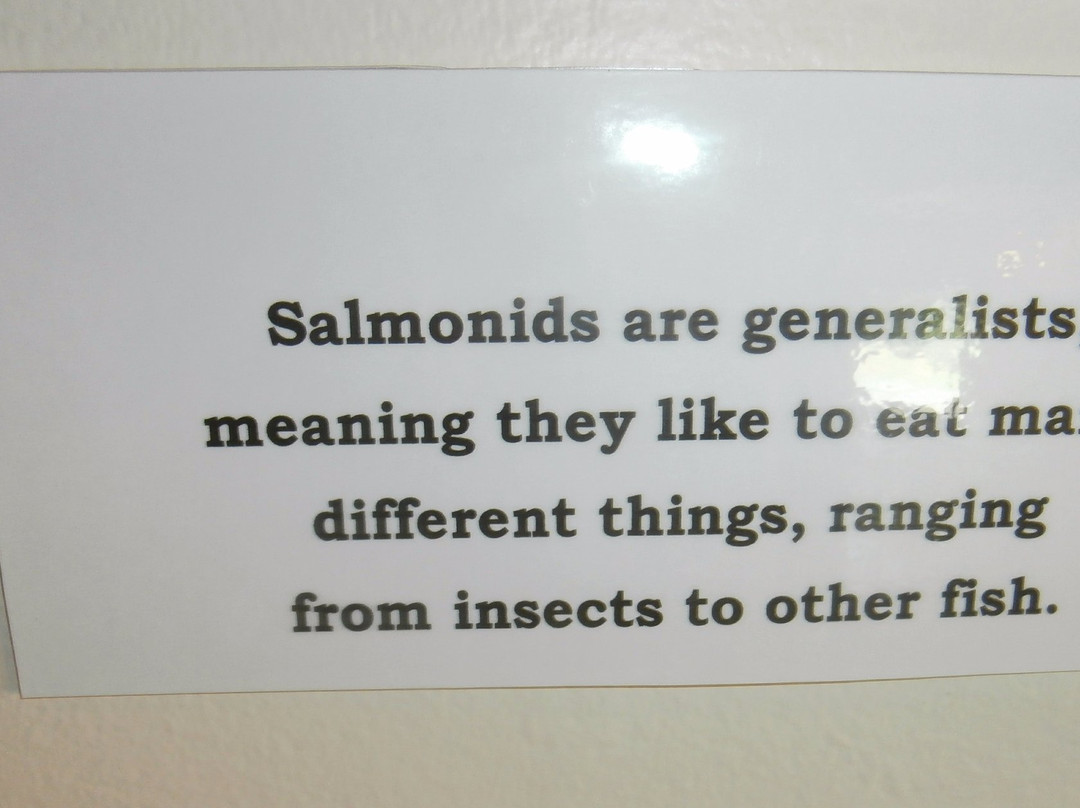 Susitna Salmon Center-塔尔基特纳必去景点