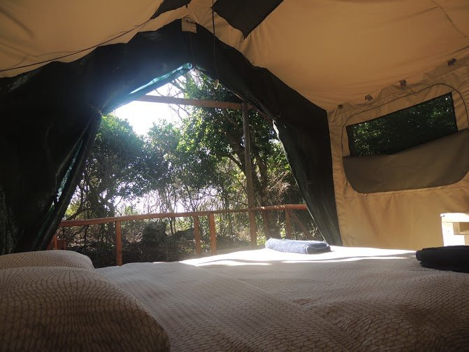 Moya Eco Lodge