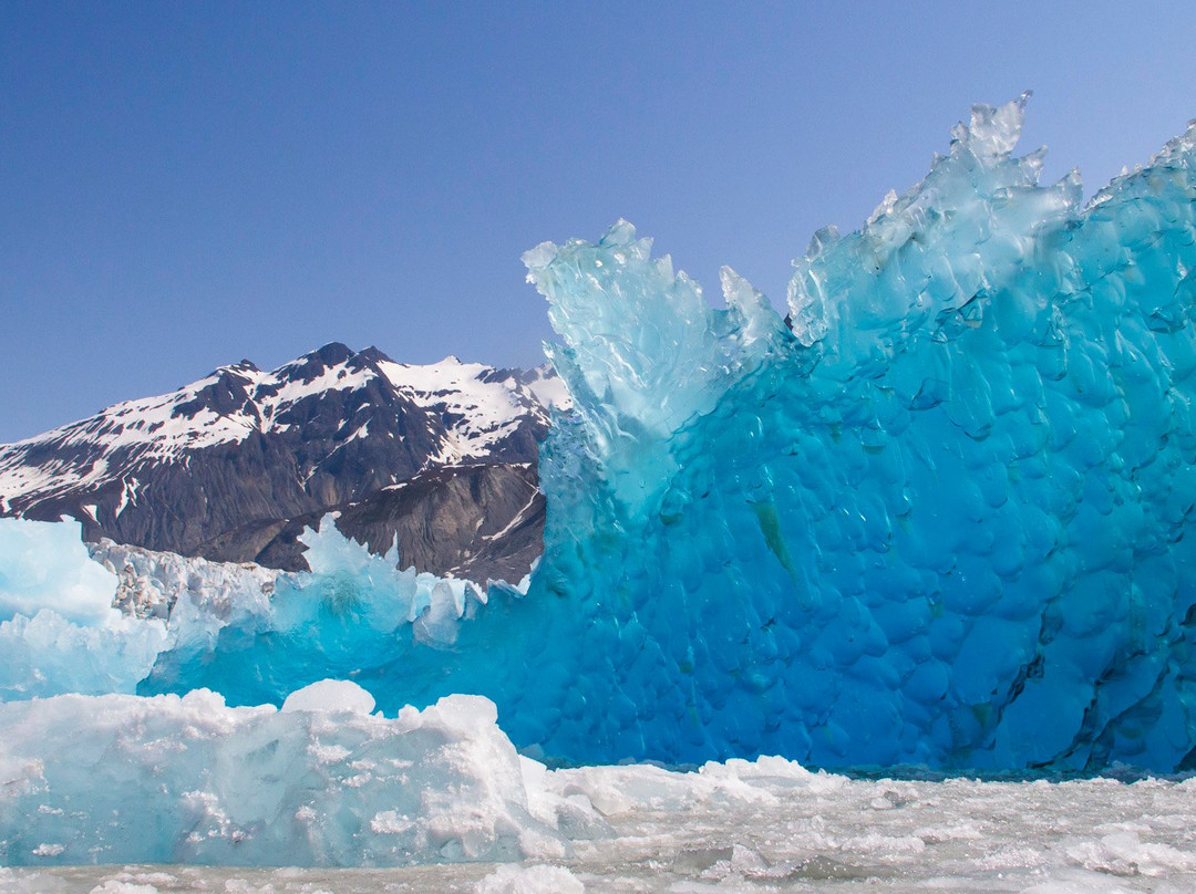Glacier Bay Photo Tours-古斯塔夫斯必去景点