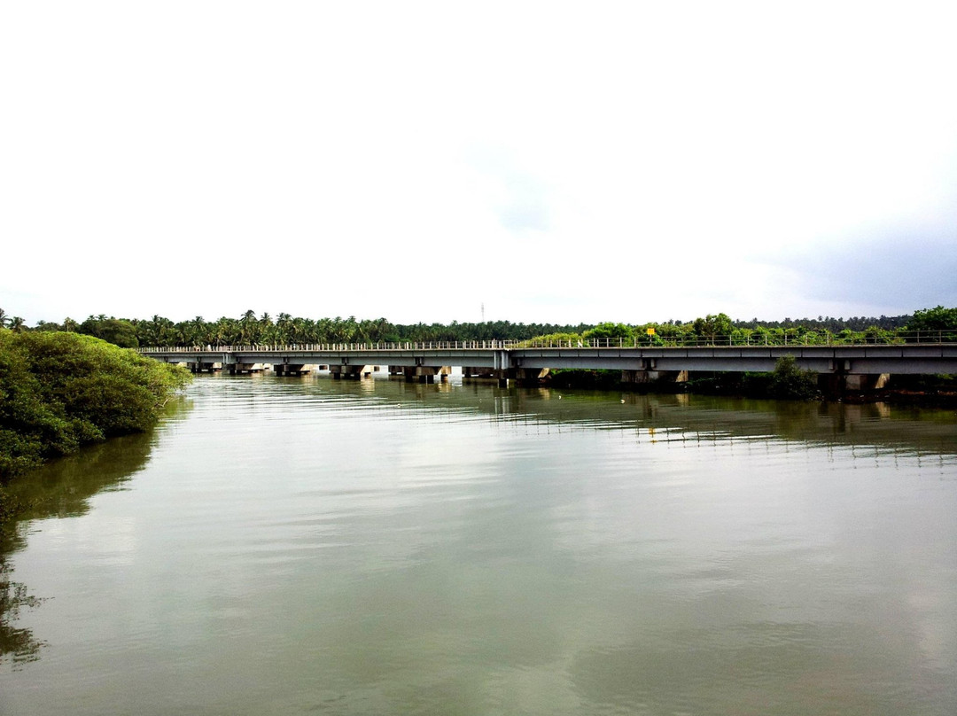 Kadalundi Bird Sanctuary-科泽科德必去景点