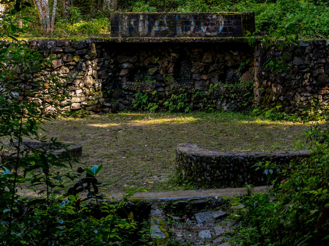 Parque Natural do Pedroso景点图片