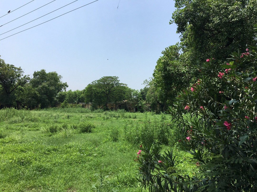 Lodhi Fort-卢迪亚纳必去景点