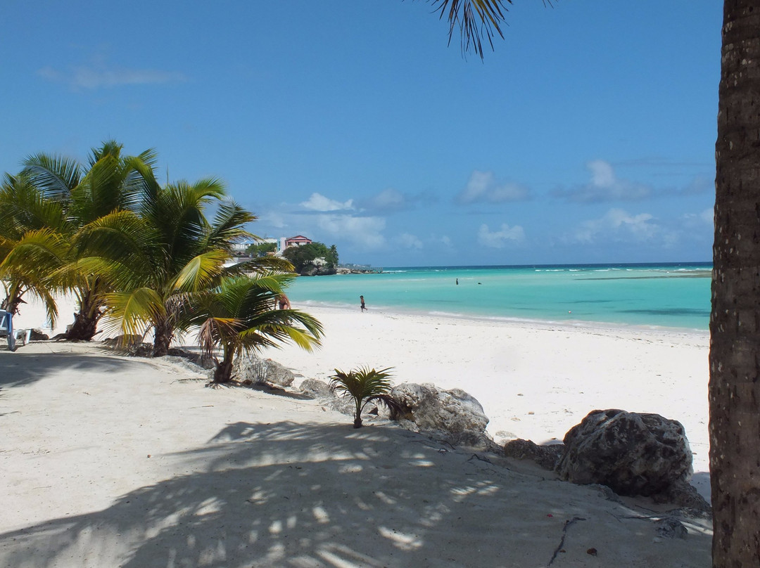Coast Beach Club-Worthing必去景点