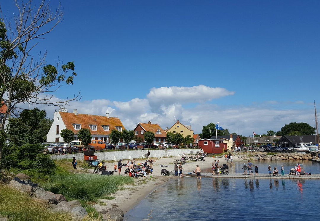 Landkrabben