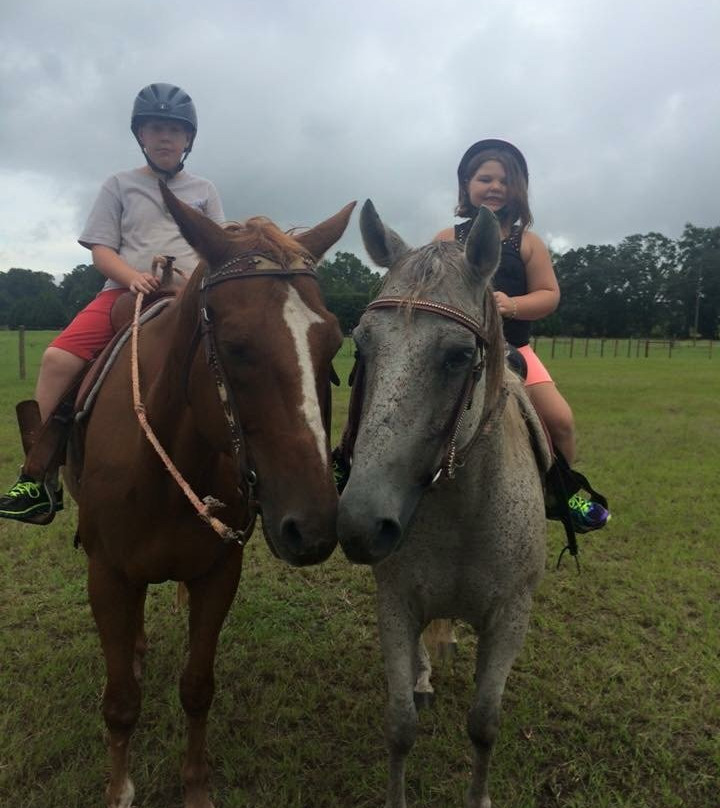 Rockin n Stables-Pelham必去景点