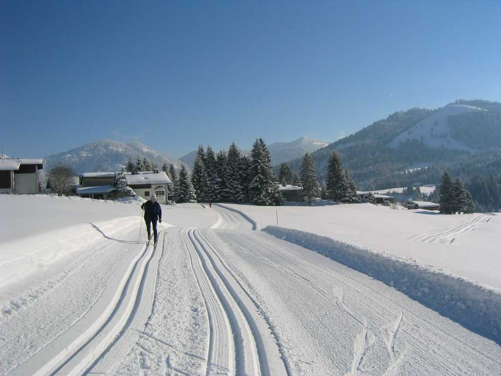 Balderschwang酒店住宿-Haus Alpenrosle