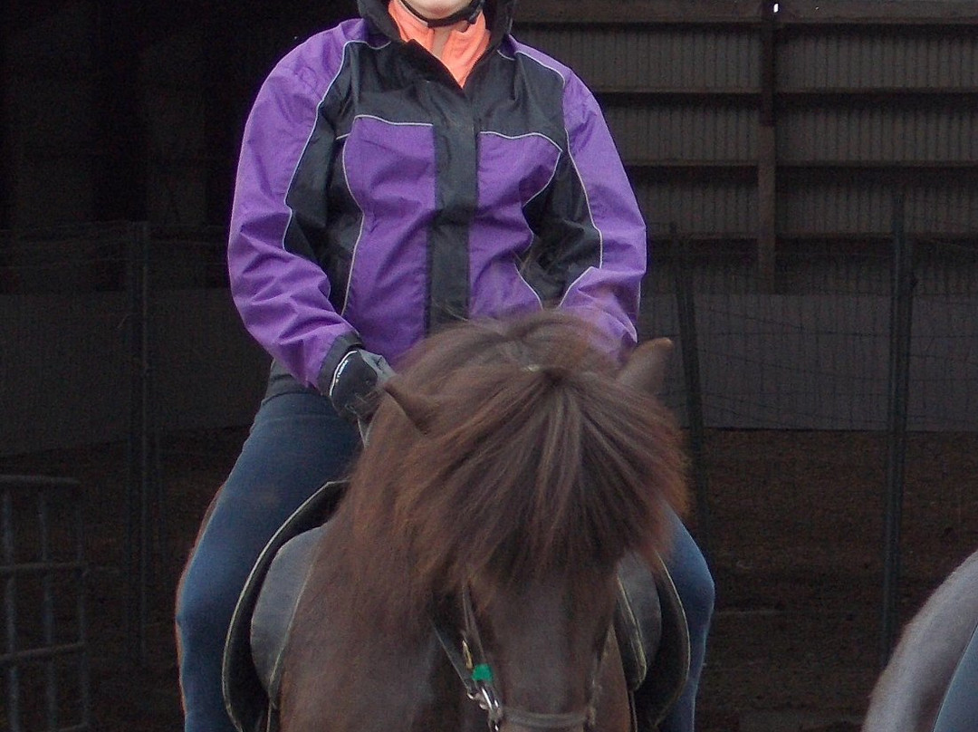 America 2 Iceland-博尔加内斯必去景点