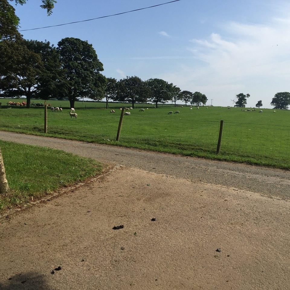 Whitchurch Farm-酒店景观