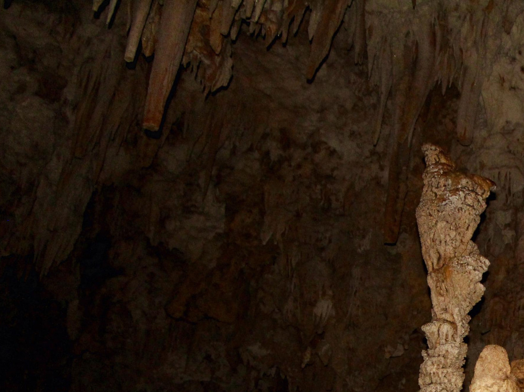 Guajataca Forest Reserve-Isabela必去景点