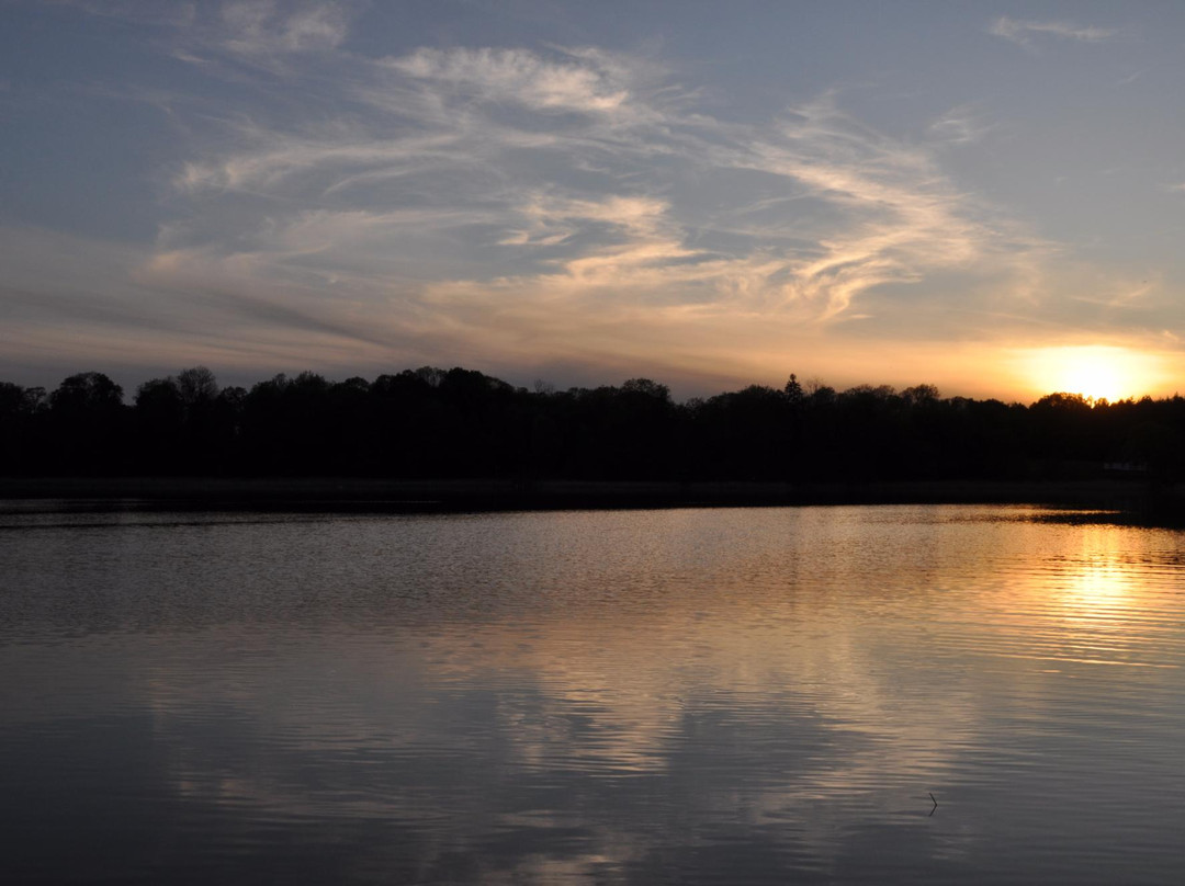 Dwor Mejera