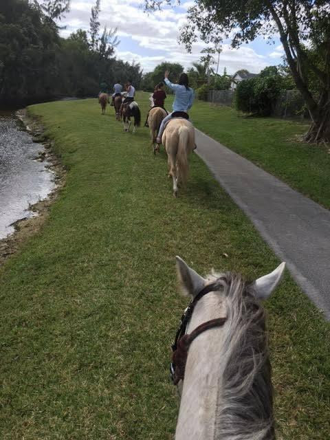 Happy Pony World-Southwest Ranches必去景点