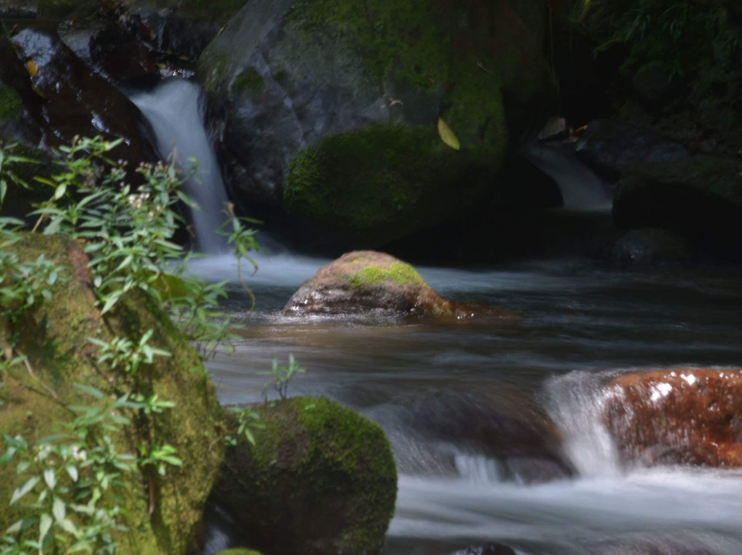 Finca Isla Wellness Retreat主图