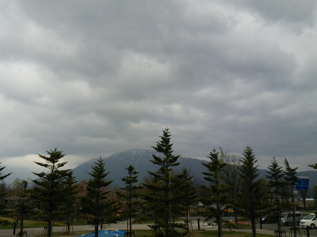 Yaaironomori Koen-南鱼沼市必去景点