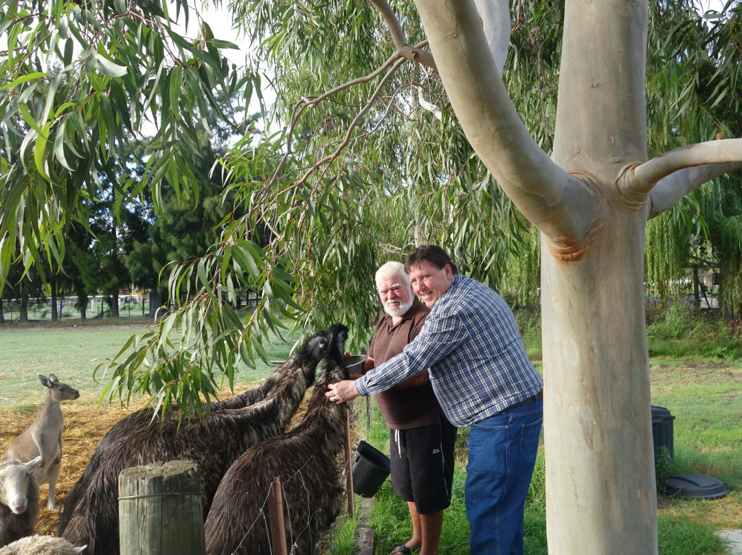 Enderslie House主图