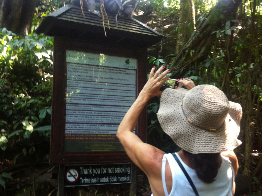 Online Bali Tour Services-孟格威必去景点