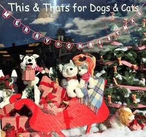 Scalawags Pet Boutique景点图片