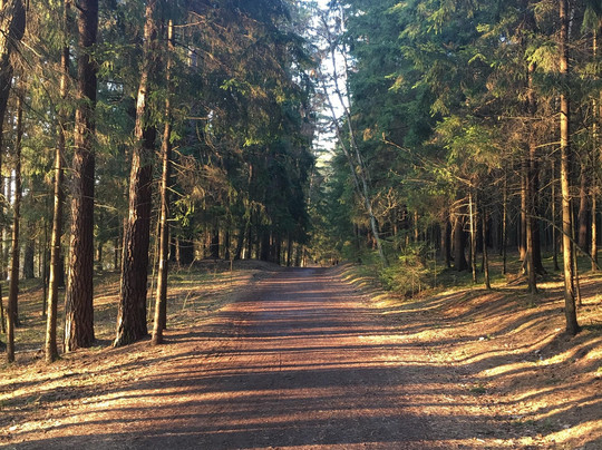 Vilnius Running Tours-维尔纽斯必去景点