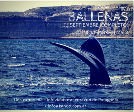 Kanoo Kayak-Acassuso必去景点