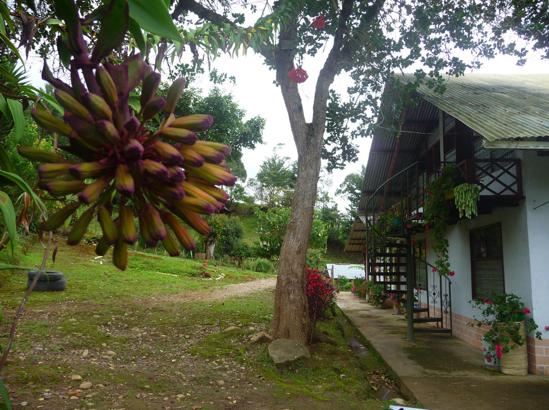 Posadas Turisticas Villa Beatriz