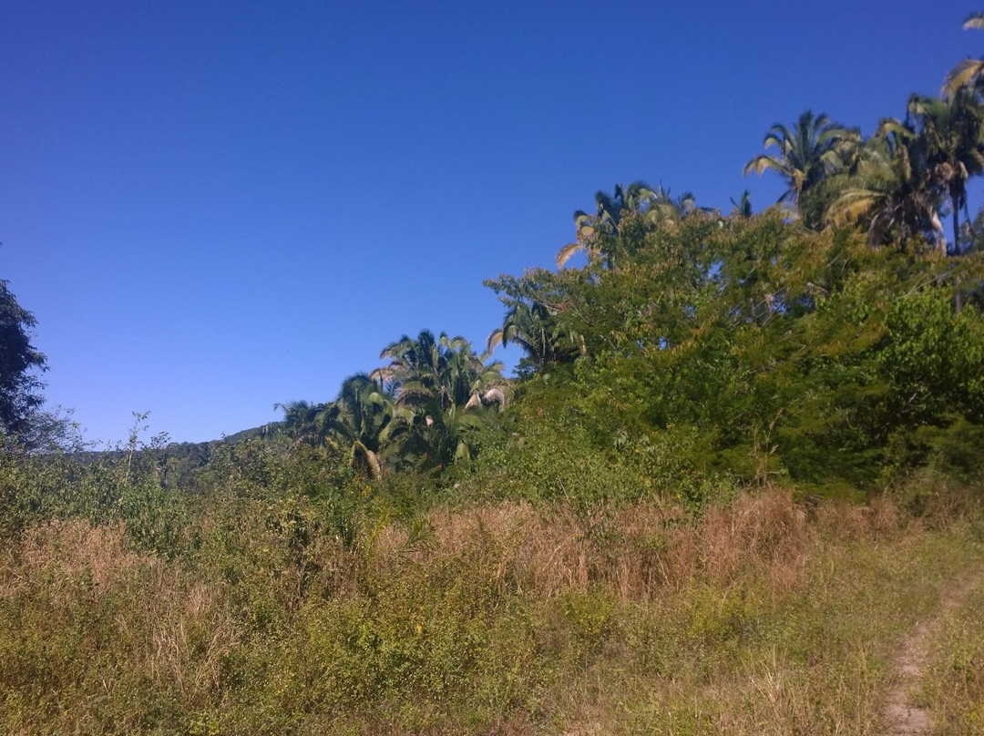 Museu Benedito José Teles-Crato必去景点