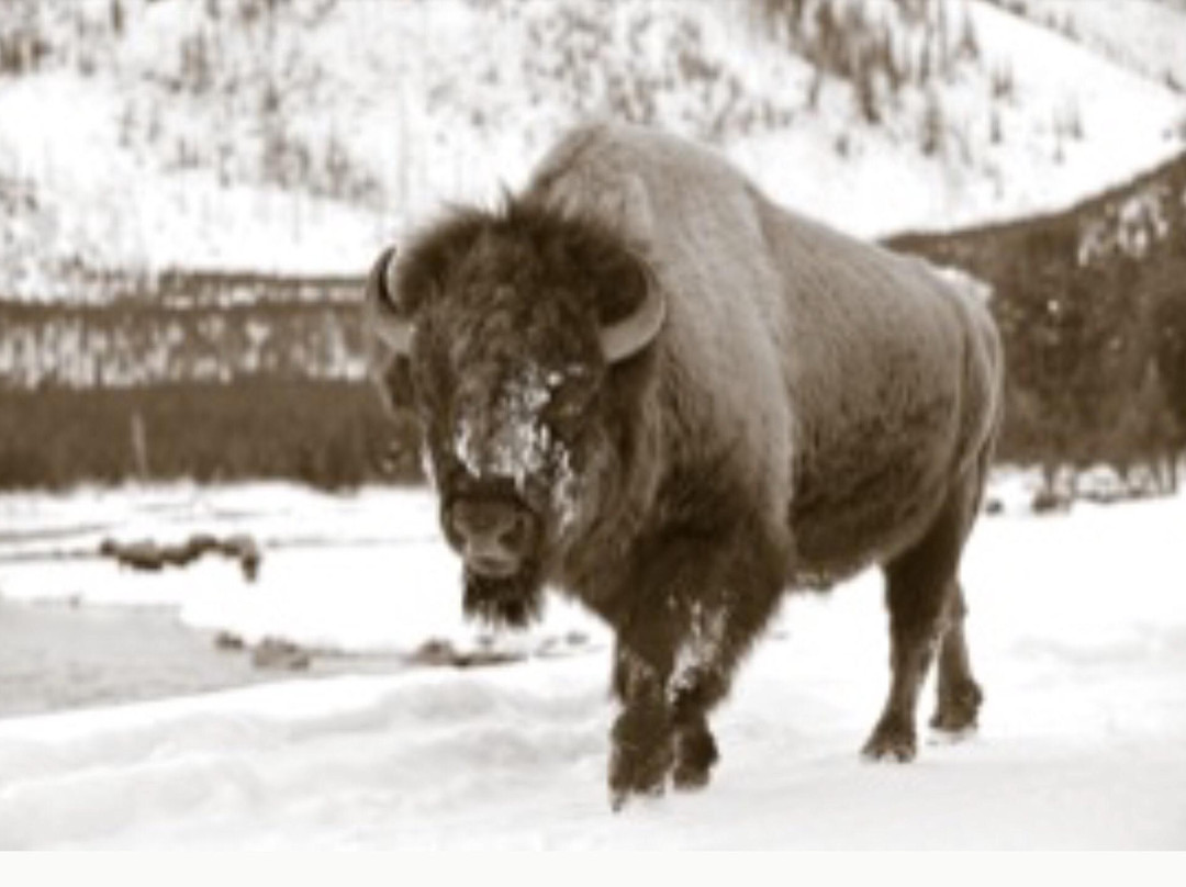 The Brookover Gallery-杰克逊必去景点