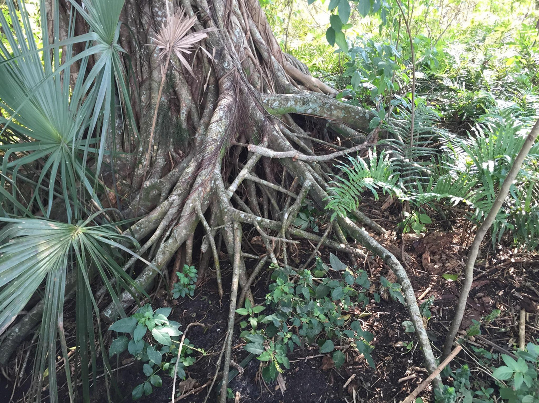 Pondhawk Natural Area-博卡拉顿必去景点