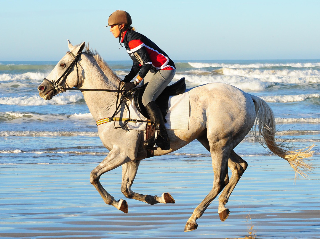 Kirby Park - Megan Jones Riding School景点图片