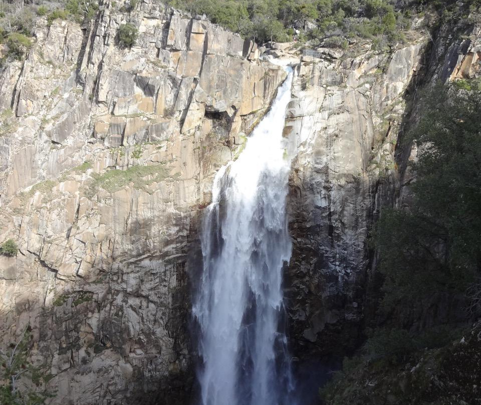 Feather Falls Scenic Trail景点图片