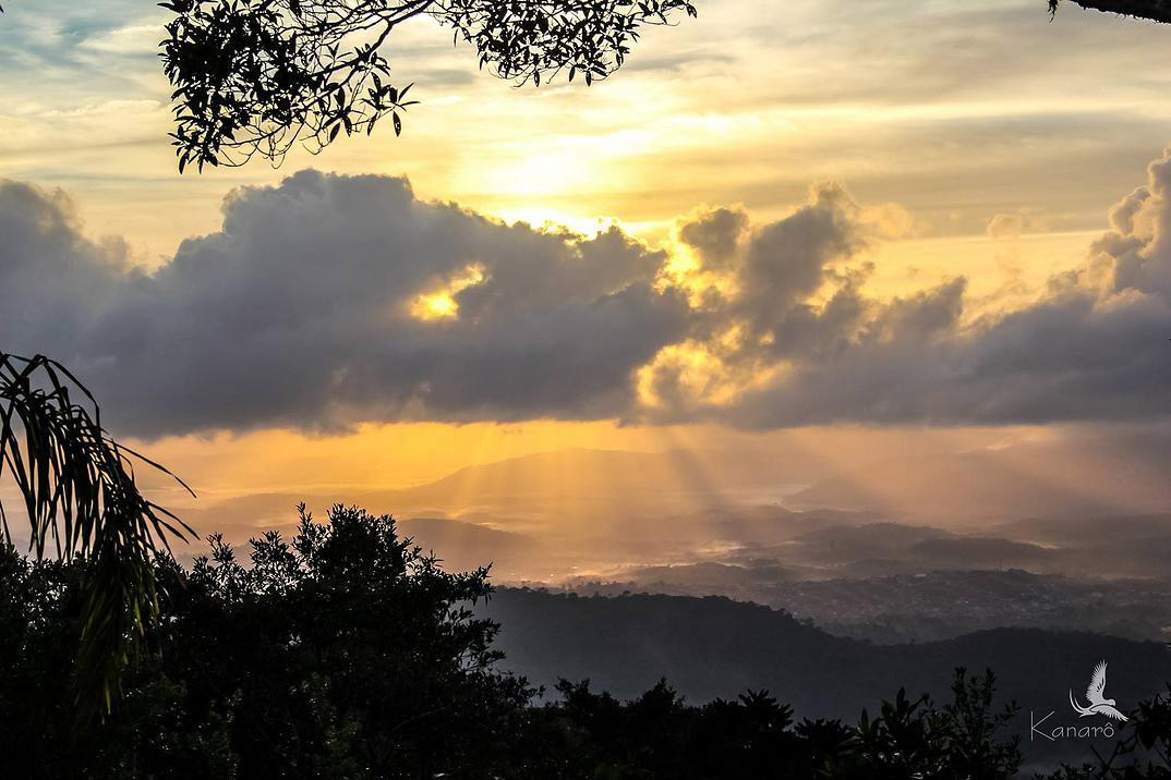 Serra Bonita Reserve-Camacan必去景点