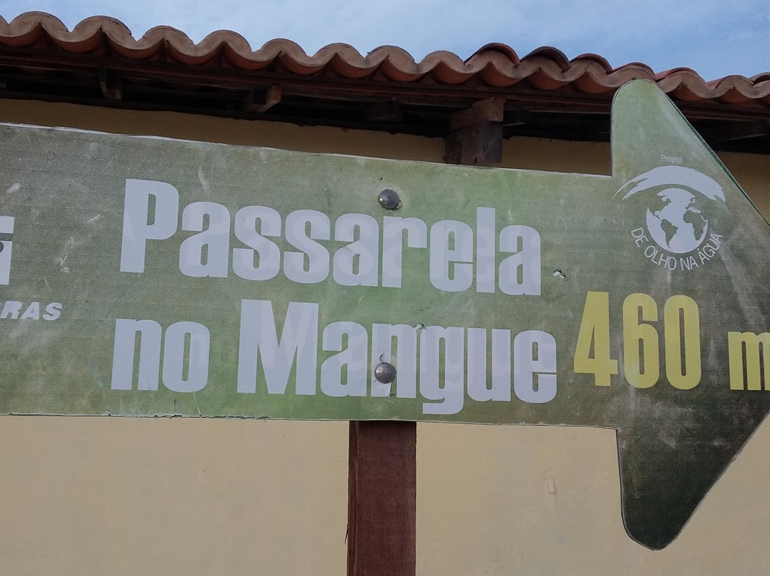 Estacao Ambiental Mangue Pequeno e Passarela no Mangue景点图片