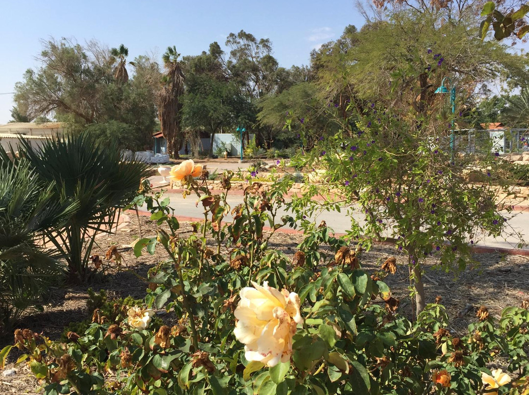 Neot Semadar Tour-埃拉特必去景点