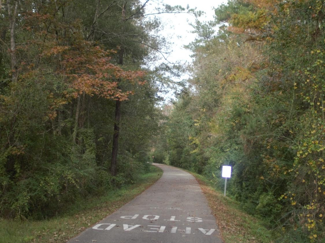 Tammany Trace-卡温顿必去景点