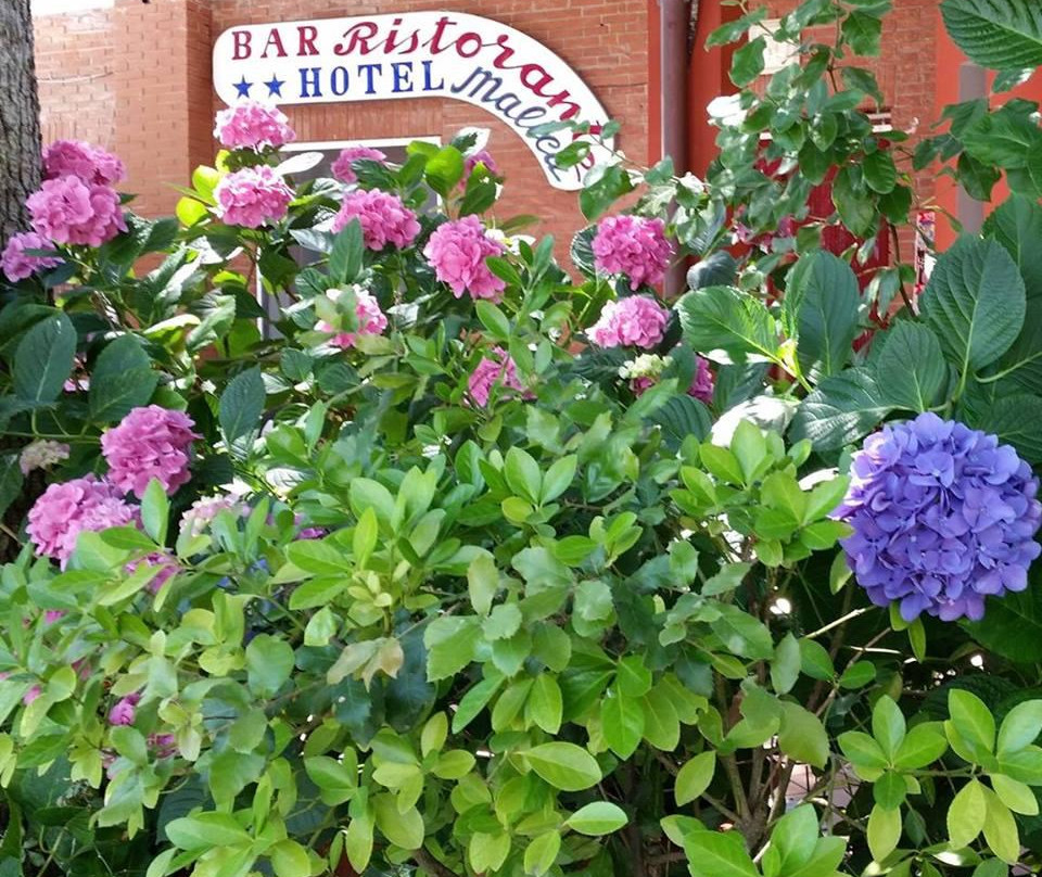 Albergo Ristorante Malica主图