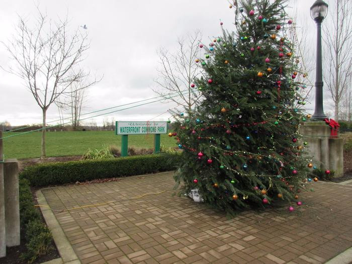 Waterfront Commons Park-匹特草原必去景点