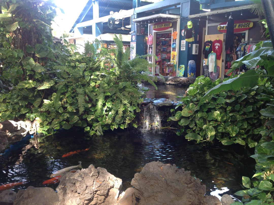 Kihei Kalama Village-基黑必去景点