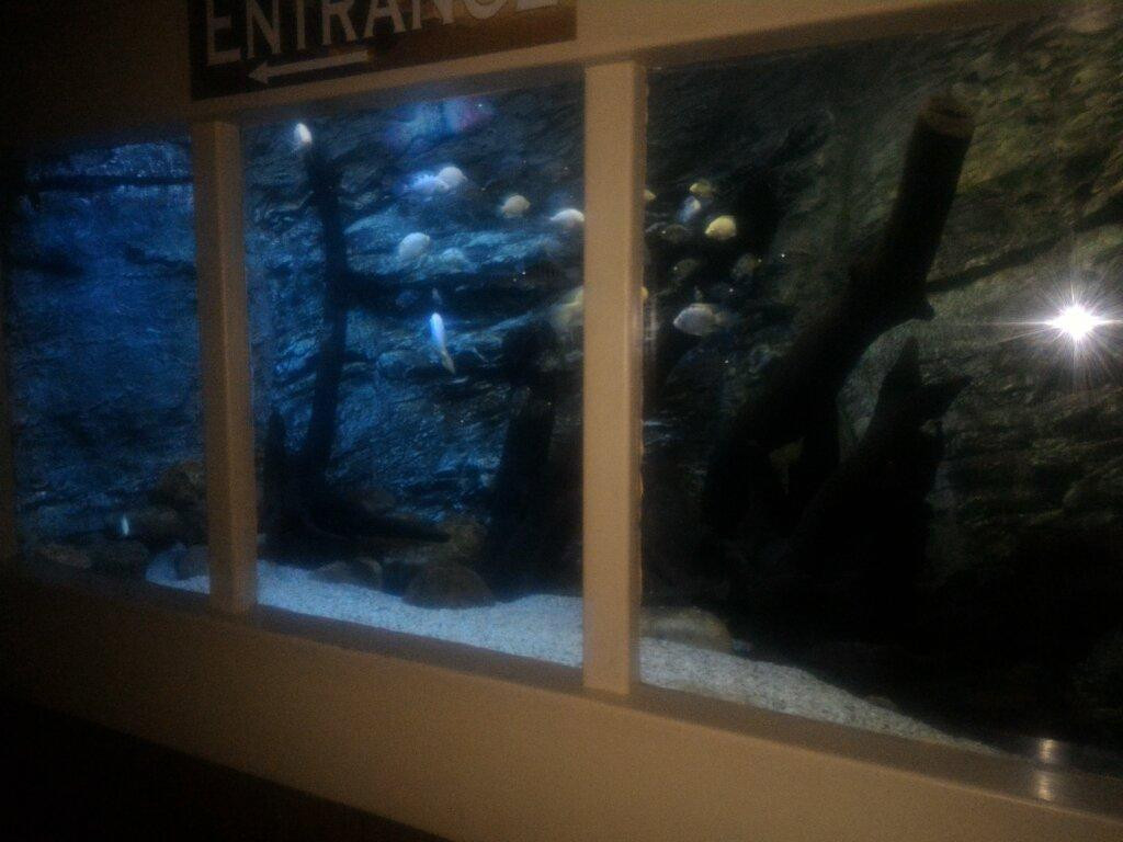 Bester Birds & Animals Zoo Park-比勒陀利亚必去景点