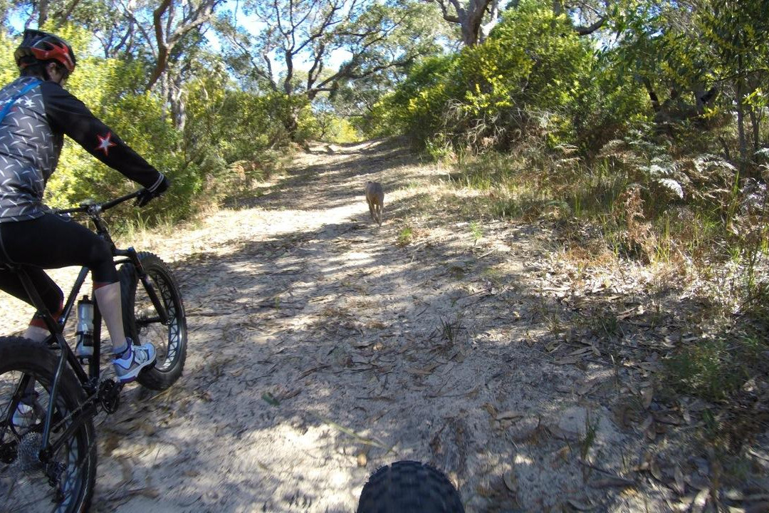 Batemans Bay Cycles景点图片
