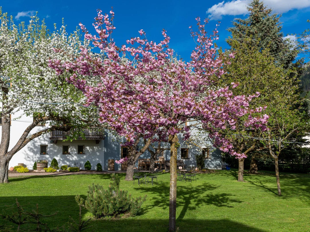 Residence Mitterdorfer主图